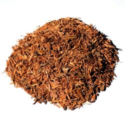 Catuaba (écorce)