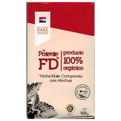 Canarias mit Grüntee / Ingwer