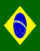 Yerba maté du Brésil ou erva maté